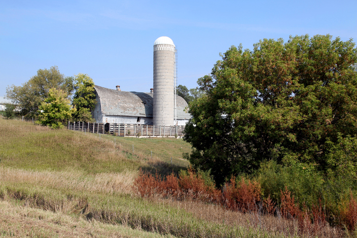 independance mn barn