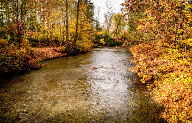 credit river water